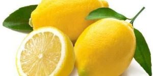 Fresh Lemon
