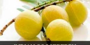 Fresh Indian Gooseberry