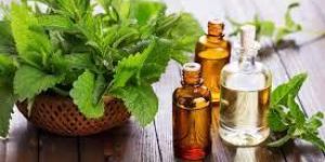 Peppermint Oil