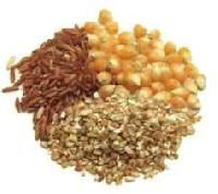Organic Food Grains