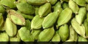 Cardamom