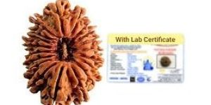 19 Mukhi Nepali Rudraksha