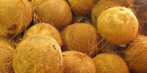 Brown Coconut