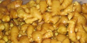 Fresh Ginger