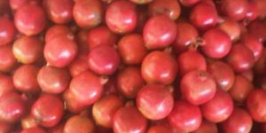 Fresh Pomegranates