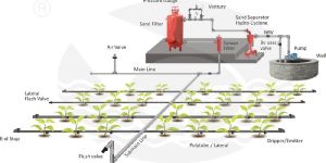 Drip Irrigation System