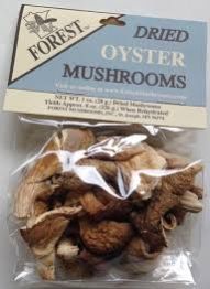 Oyster Mushroom