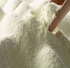 Skimmed Milk Powder