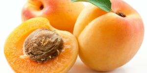 Fresh Apricot