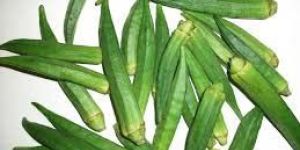 Fresh Okra