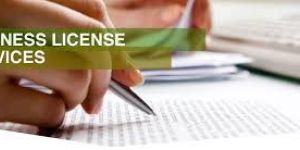 Business License Registration Services