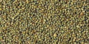 Green Millets