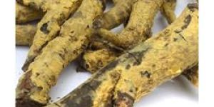 Salacia Reticulata Root