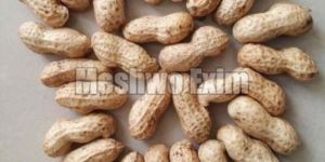 Shelled Groundnuts