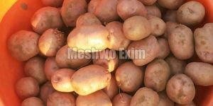 Lady Rosetta Potatoes