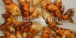 Raw Turmeric Finger