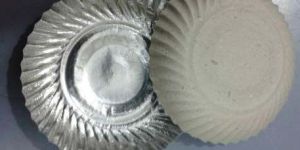 Disposable Silver Paper Plates