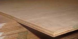 Marine Plywood