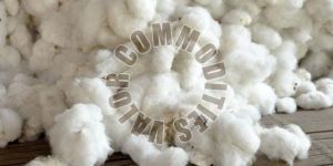 Raw Cotton