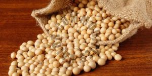 Soybean Seeds