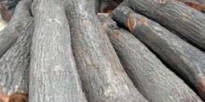 Babool Wood