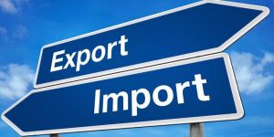 Custom Clearing Services