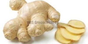 Dry Ginger
