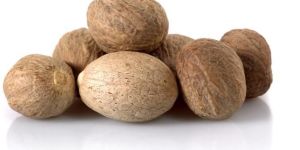 Nutmeg