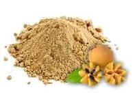 Sapota Powder