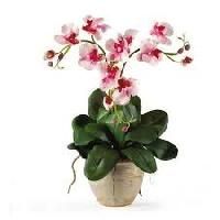Artificial Orchid