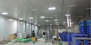 Cold Storage Insulation