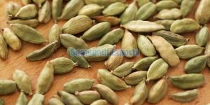 Green Cardamom