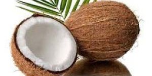 Fresh Coconut