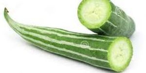 Snake Gourd