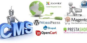 CMS Web Development