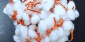 Red Tip Cotton Wicks