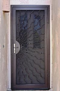 Steel Wood Security Door