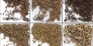 Cumin