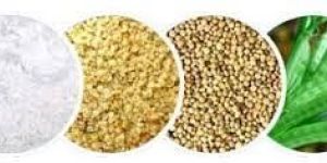 Guar Seed