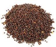 Muster Seed