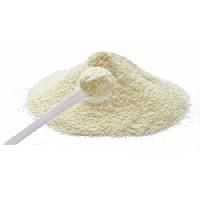 Dairy Milk Powder