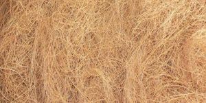 Brown Coir Fibre