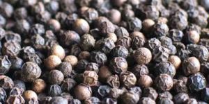 Black Pepper
