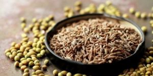 Coriander Cumin Powder