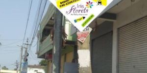 Pole Kites Advertising Services