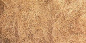 Coconut Coir Fibre