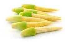 Baby Corn