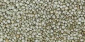 Millet Seeds