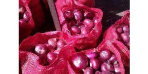 Fresh Red Onion