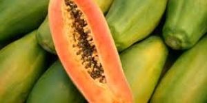 Papaya